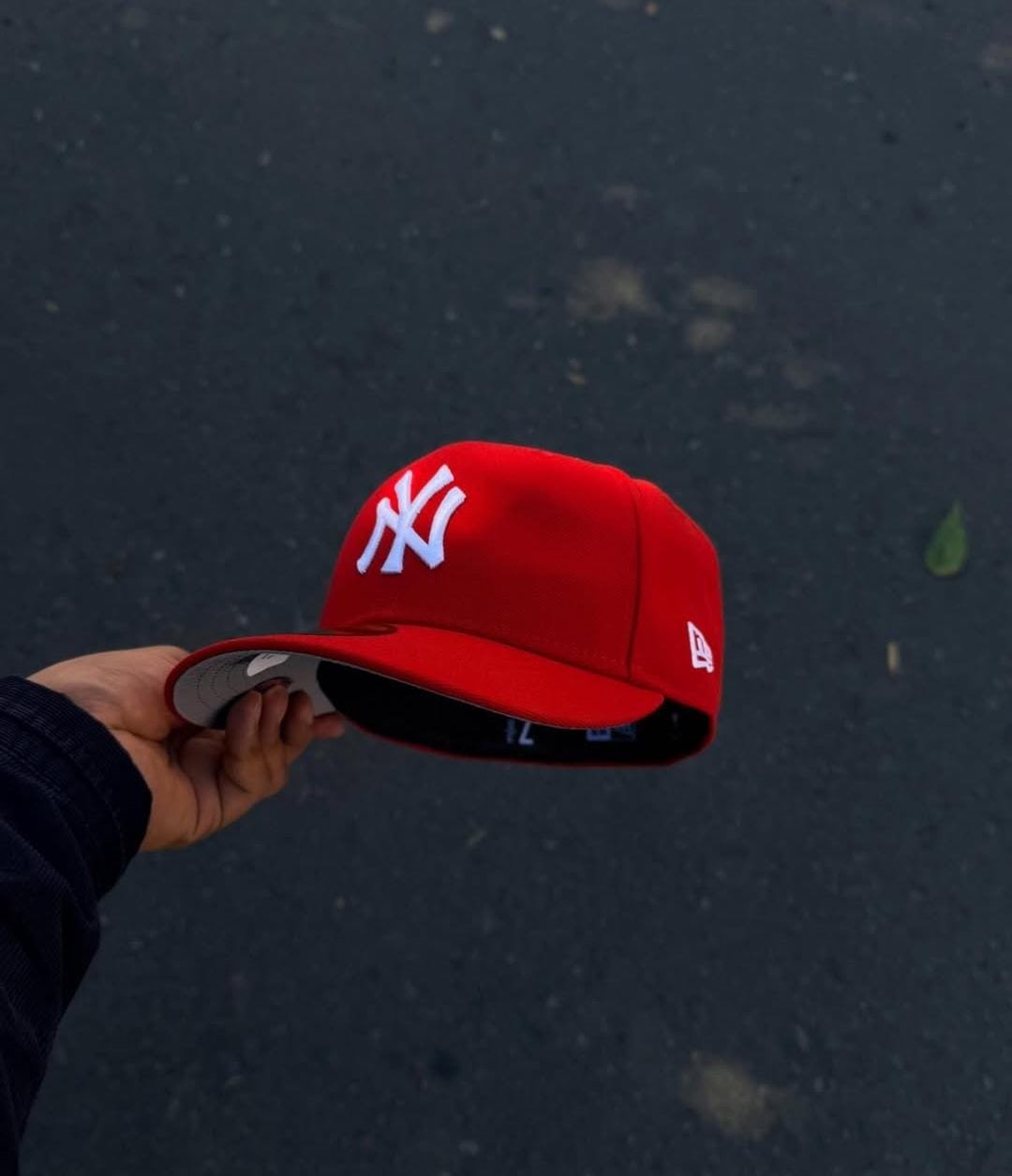 whatsapp image 2026 01 26 at 10.21.03 pm